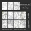 Scattered shadows theme decorative scrapbooking paper set with 20 pieces - Mottled Tree Shadows
