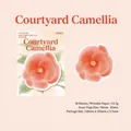 Floral camellia sticky notes with vintage burnt edges for scrapbooking and decoration - Leisure Garden Camellia