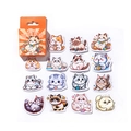 Mo Card Sweet Kitty Paradise cartoon cat sticker set with orange box packaging - Sweet Cat Paradise