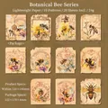 Vintage bee-themed decorative scrapbooking paper set with artistic botanical illustrations - Bee Flower Window