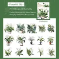 30pcs tropical peace lily potted plant PET stickers for DIY scrapbooking decoration - Peace Lily