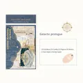 Σετ vintage χαρτικών Galactic Prologue με 90 αυτοκόλλητα και χαρτιά χειροτεχνίας - Γαλαξιακός Πρόλογος