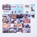 Cute kitty theme sticker set with 50 decorative cat photo cards for journaling and DIY - Milk Fufu Cat Roll