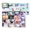 Set of 50 cute cat stickers with colorful pet portraits and Japanese text for scrapbooking - Matcha Star Cat