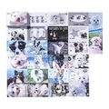 50-piece set of cute dog themed decorative stickers in various macaron colors - Glutinous Rice Ball Puppy