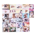 Lot de carnets d'autocollants animaux mignons de 50 feuilles avec motifs de chiens et chats - Chiot Fromage