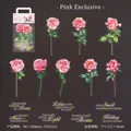 Pink rose PET stickers with laser gold foil detailing in 30-piece decorative pack - Pink Exclusive