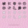 Floral scrapbooking paper set with 20 pieces of hollow-out rose and sunflower designs - Flower Secret Language