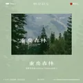 Carta decorativa a tema Chungking Forest 45 fogli per journaling fai-da-te 105x70mm - Paesaggio Forestale Profondo