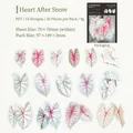 Set di adesivi PET Caladium Bicolor con 15 motivi di foglie realistici per scrapbooking - Heart After Snow