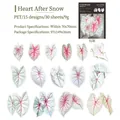 Caladium Bicolor PET-Aufkleber-Set mit 15 realistischen Blattdesigns für Scrapbooking - Heart After Snow