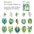 Bunte Caladium Blatt PET Aufkleber, 30er Set mit herbstlichen Motiven für das Scrapbooking - Hilo Beauty