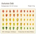 Vintage PET oak leaf stickers 100pcs for scrapbooking in warm autumn theme - Autumn Oak