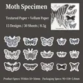 Vintage Schmetterling Aufkleber Set aus strukturiertem Papier und Transparentpapier - Mottenpräparat