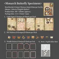 Σετ scrapbooking με πεταλούδες 50 τεμαχίων από μικτά υλικά χαρτιού και PET - Δείγμα Πεταλούδας