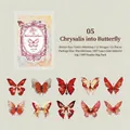 Butterfly theme PET laser gold stickers in vintage red and pink for DIY scrapbooking - Butterfly Metamorphosis