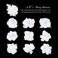 Adesivi in PET a tema peonia per scrapbooking con finitura cangiante set da 20 pezzi - Peonia in Fiore