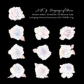 Set di 20 adesivi in PET con rose aurora a tema floreale per decorazione DIY scrapbooking - Rosa
