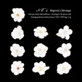 Floral PET stickers featuring iridescent Begonia motifs for DIY journaling and scrapbooking - Begonia Message