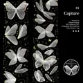 Cinta adhesiva PET alas de mariposa oro láser para álbumes de recortes DIY, largo de 2m - Captura