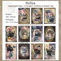 Σετ vintage χαρτί scrapbooking με γάτες και λουλούδια σε 10 ρετρό σχέδια - Μαύρη Γάτα Heliya