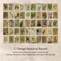 100 adesivi vintage per scrapbooking con fiori botanici e illustrazioni di felci e foglie - Registri di piante verdi