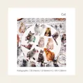 Set di 20 adesivi per scrapbooking a tema gatto con effetto laser lucido a conchiglia - Gatto