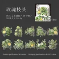 Set di adesivi PET a tema rose con lamina d'argento 3D per decorazione scrapbooking - Rose sul ramo