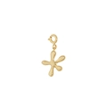 Ciondolo dorato irregolare con chiusura a molla in argento S925 lucido di alta qualità - Argento 925 / DZ004-Stella Marina Oro 18K