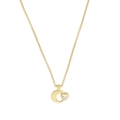 Elegante collana in argento S925 dorato con mezzaluna e pendente a cuore in zircone - Argento 925 / Oro 18K