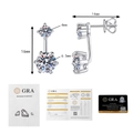 Orecchini moissanite in argento S925 con certificato GRA dettaglio 1.0ct D colore VVS1 - Argento 925 / Moissanite