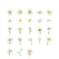 Set mit 46 Blumenstickern mit eleganten weißen Gänseblümchen-Illustrationen - Blumen Wind Botschaft