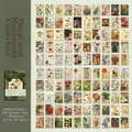 Detailed grid showing 100 sheets of vintage translucent floral and botanical scrapbooking paper - Flowers And Mushrooms