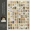 Vintage butterfly and bird theme vellum paper set with 100 sheets for scrapbooking - Butterflies And Birds