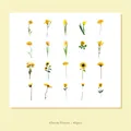 40 Pcs yellow PET floral stickers featuring sunflowers and tulips for DIY planners - Vitality