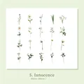 Floral PET stickers pack with 40 pieces of white and yellow daisies and lilies patterns - Innocence (White Daisy)