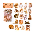 Orange cat PET stickers pack with 40 pieces for journaling and decorative crafts - Orange Cat