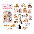 40pcs PET cat stickers featuring various breeds like Ginger and British Shorthair - Kitty Party