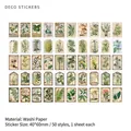 Set de 50 stickers vintage en papier washi avec illustrations de plantes et insectes - Acacia