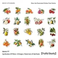 Set da 40 adesivi decorativi in PET con illustrazioni di frutta stile vintage - Frutti maturi