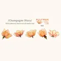 Floral PET stickers in champagne orange with ink-wash texture and semi-transparent design - Champagne Diary