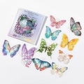 Pegatinas de PET de mariposa láser plata holográfica de la serie Star Brilliant - Carta de Mariposa