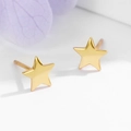 Orecchini a stella in argento 925 placcati oro lucido su sfondo bianco pulito - Argento 925 / Oro