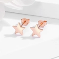 Orecchini a lobo a stella minimalisti in argento S925 oro rosa su base in pietra - Argento 925 / Oro rosa