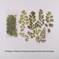 Dried Flowers PET sticker set for journaling featuring green fern and plant designs - 6 Sheets / Spring Breeze Floral