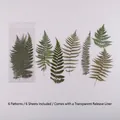 6er-Pack grüne Farn-PET-Aufkleber aus der Serie Getrocknete Blumen für DIY-Journale - Stilles Farntal