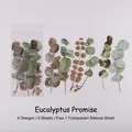 DIY Eukalyptus Trockenblumen PET Aufkleber für Tagebücher, 6er-Set Vintage grüne Blätter - Eukalyptus Versprechen
