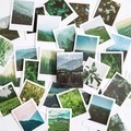 LOMO landscape stickers featuring forest scenery in a retro polaroid style box - Wilderness Forest