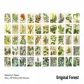 Vintage-Wald-Botanische Washi-Sticker-Set mit 50 einzigartigen Naturillustrationen - Urwald
