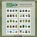 Set de 20 pegatinas láser Gentle Microcosm con paisajes naturales para decorar diarios - Hacia la Naturaleza